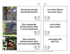 Eichhörnchen-Satzteile-verbinden-einfach 6.pdf